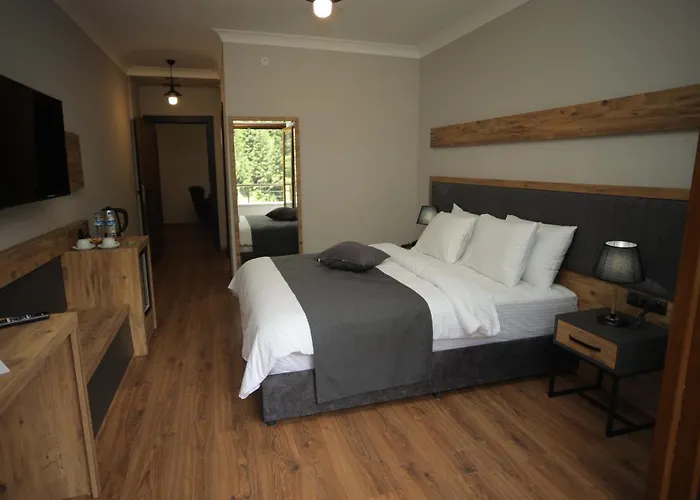 Hotel Pazarcik Mountain 3*