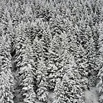 Pazarcik Mountain Trabzon