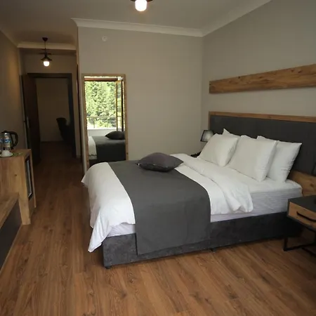 Hotel Pazarcik Mountain 3*