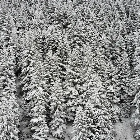 Pazarcik Mountain Trabzon