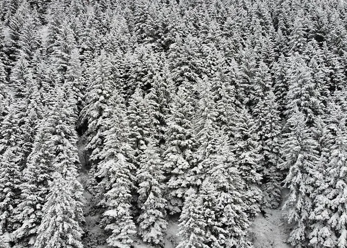 Pazarcik Mountain Trabzon