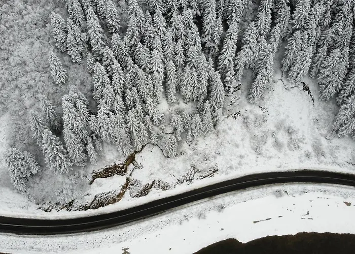 Hotel Pazarcik Mountain Trabzon